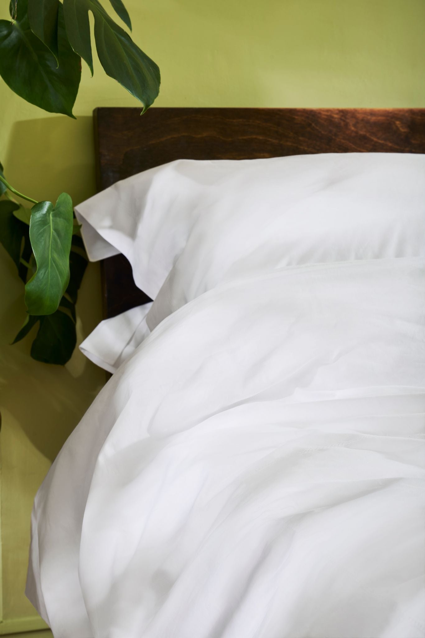 Ethical bedding
