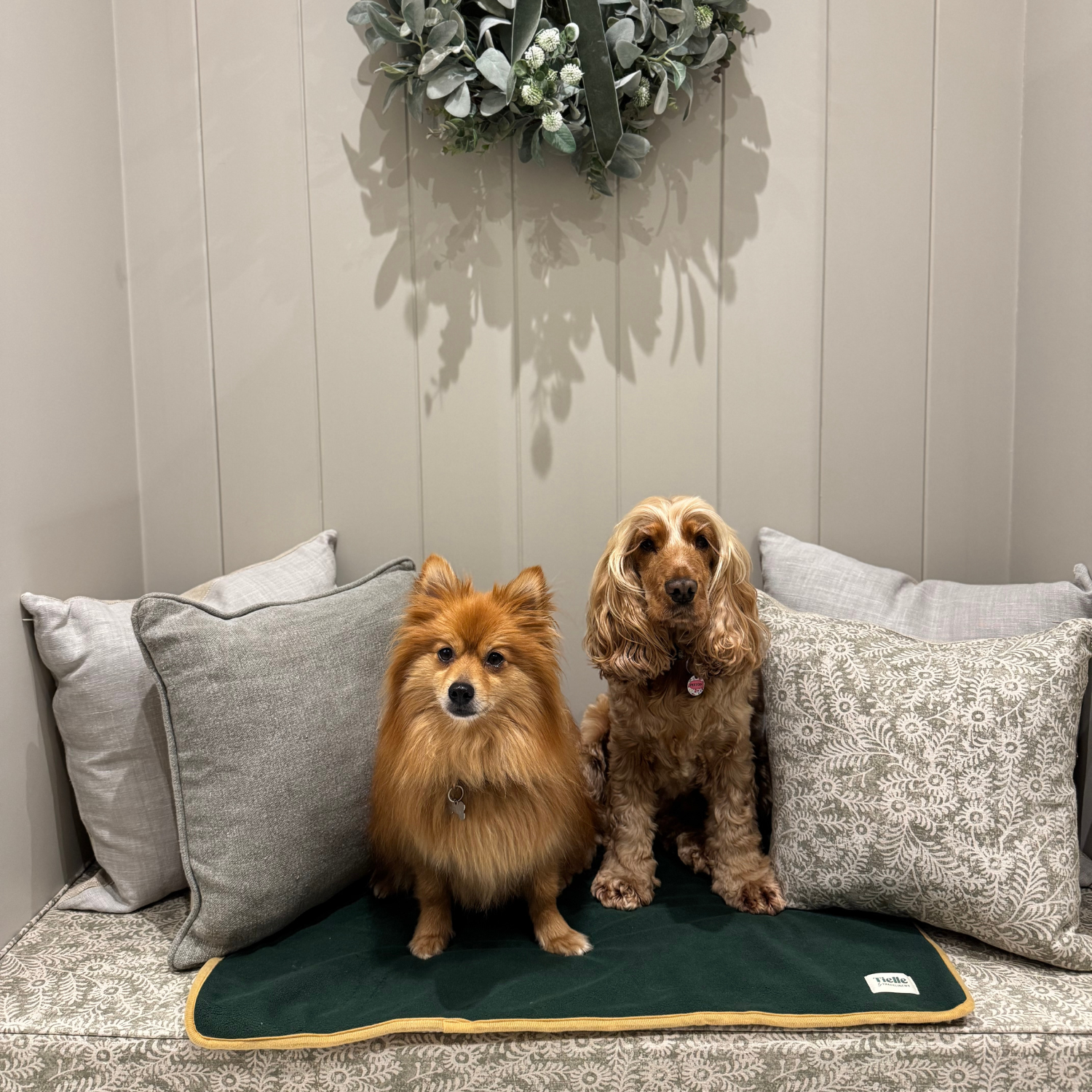 Forest Green Dog Mat - Microfibre Back