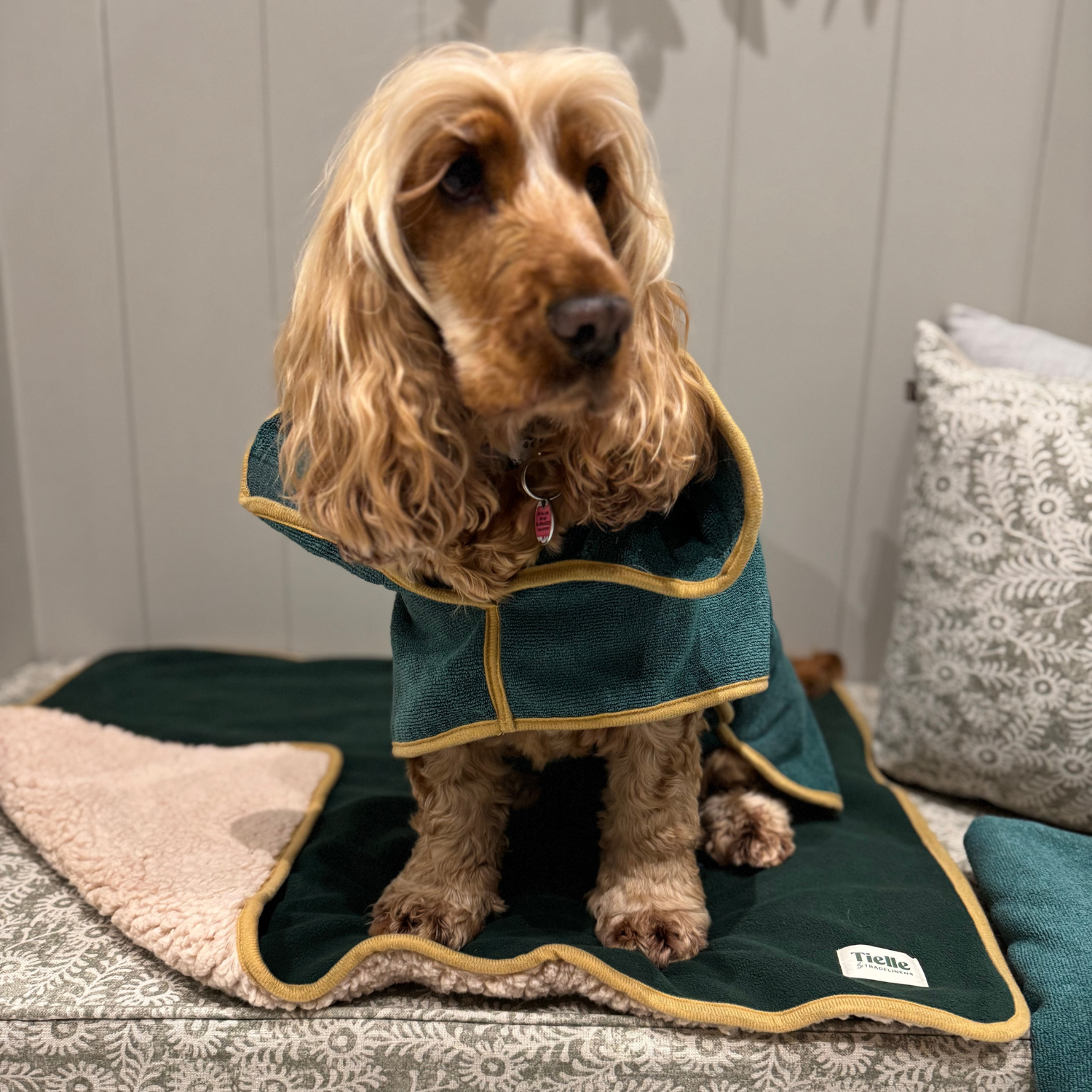 Forest Green Dog Mat - Sherpa Back