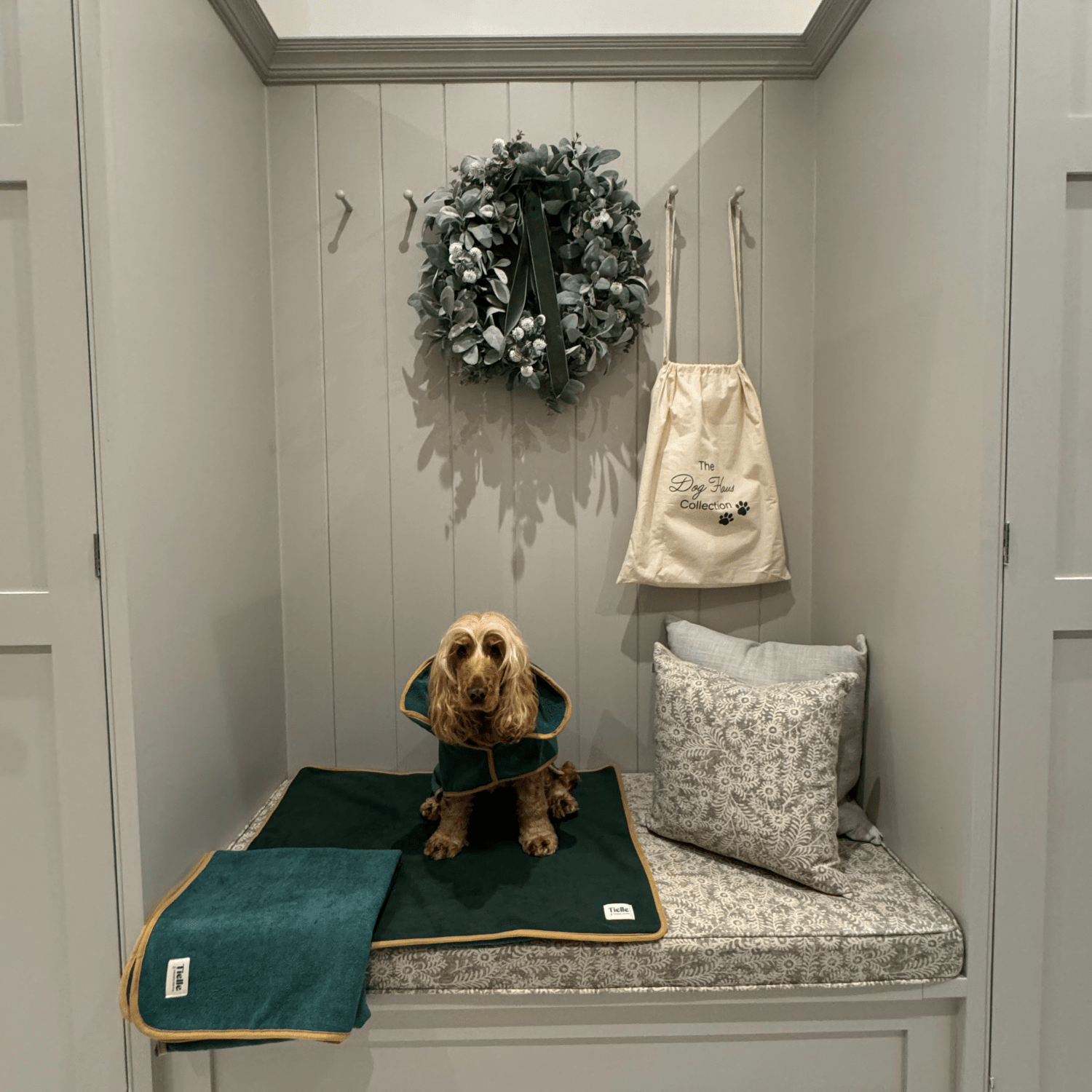 Forest Green Dog Bundle