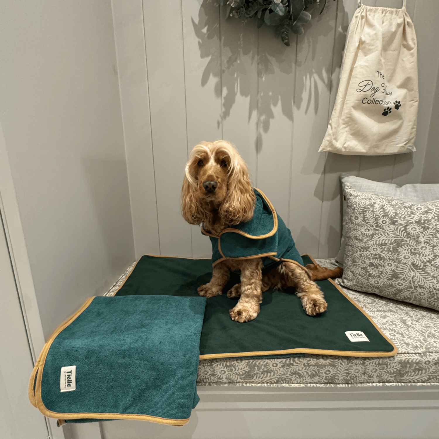 Forest Green Dog Bundle