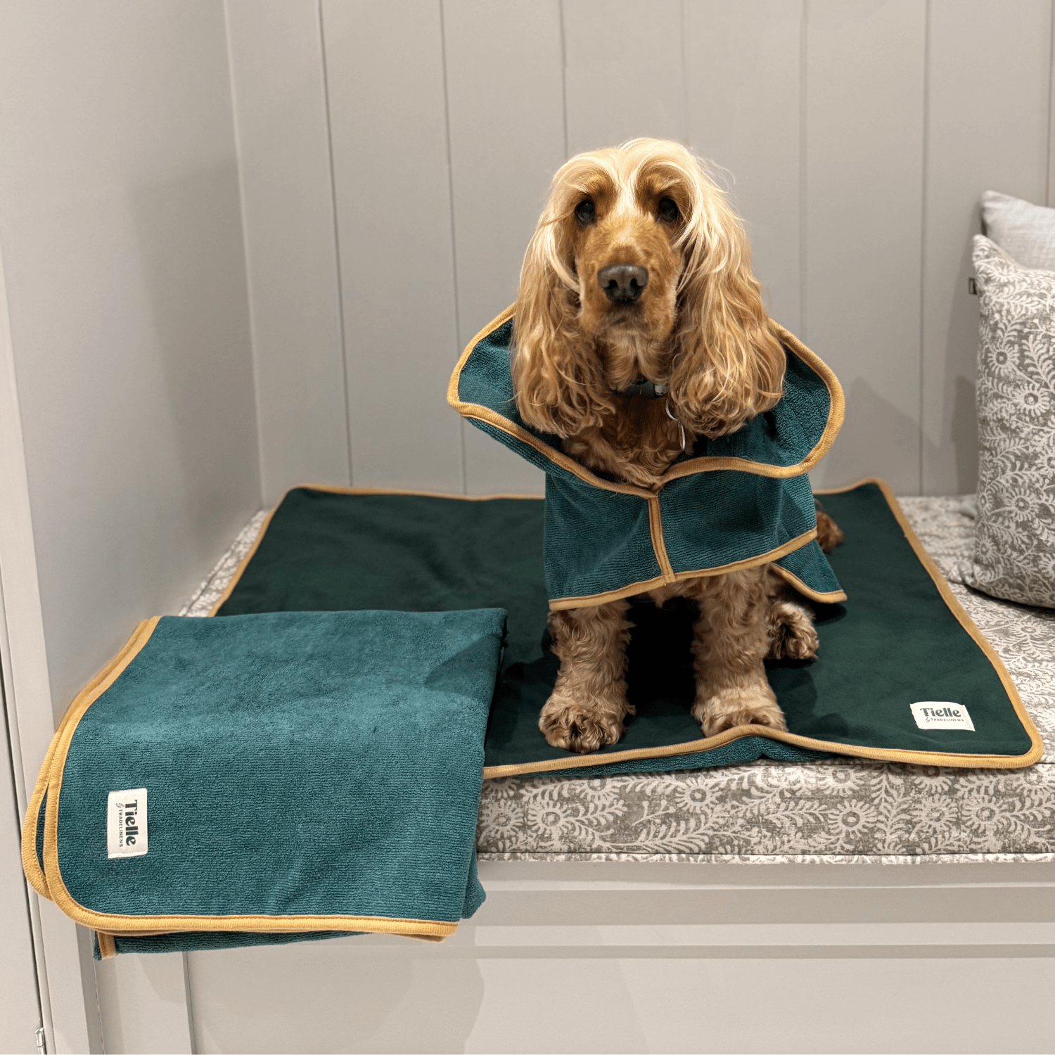 Forest Green Dog Bundle