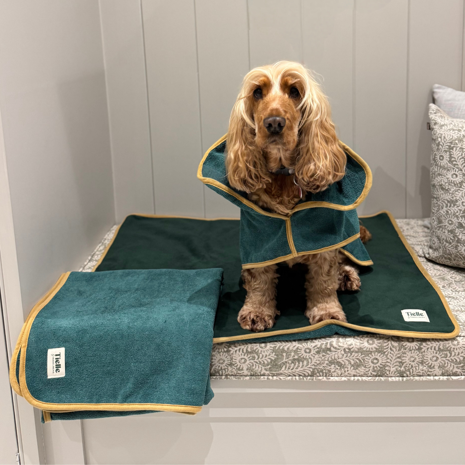 Forest Green Dog Towel