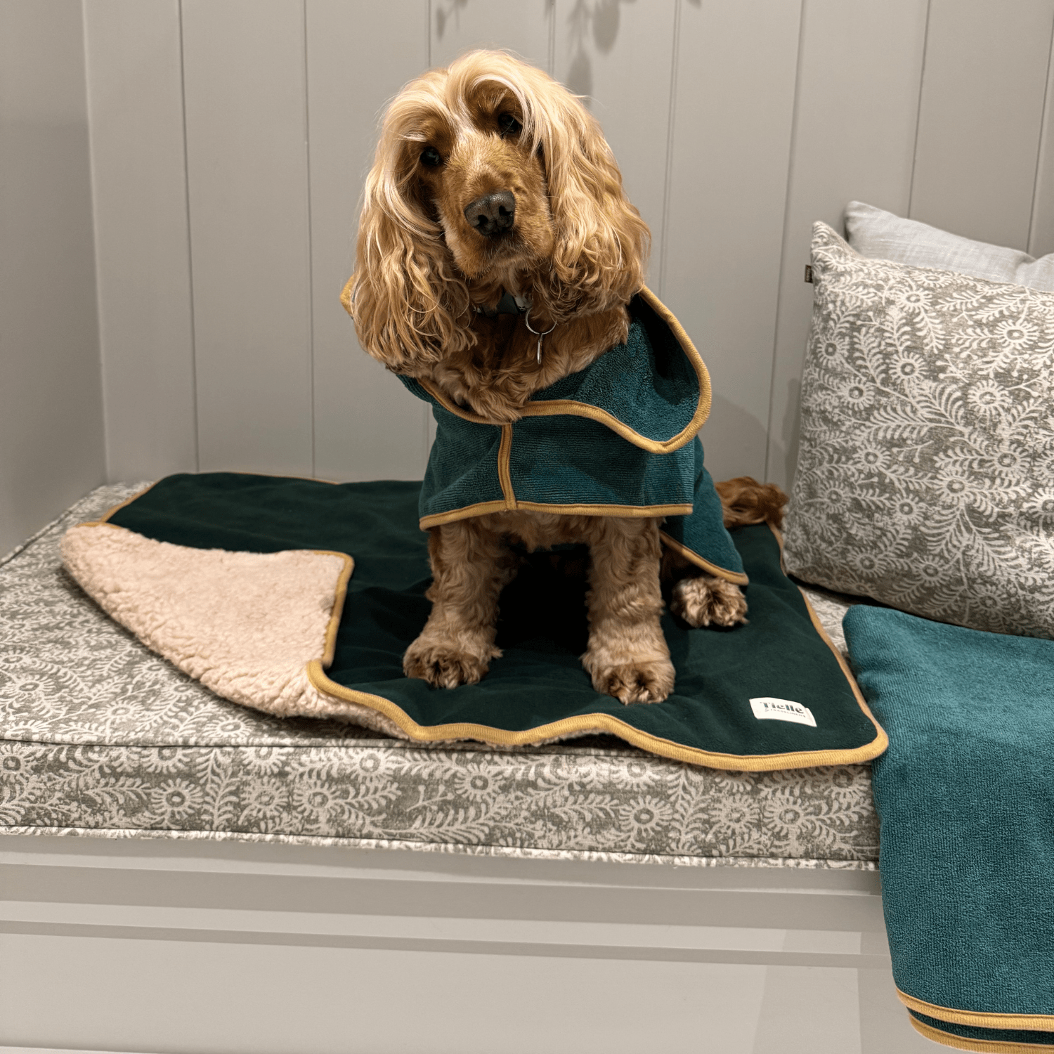 Forest Green Dog Bundle