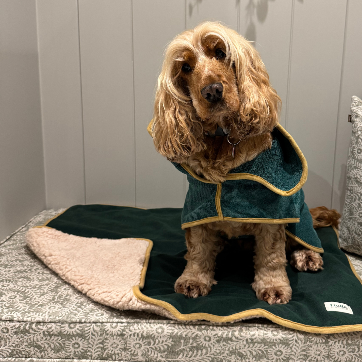 Forest Green Dog Mat - Sherpa Back