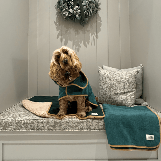Forest Green Dog Bundle