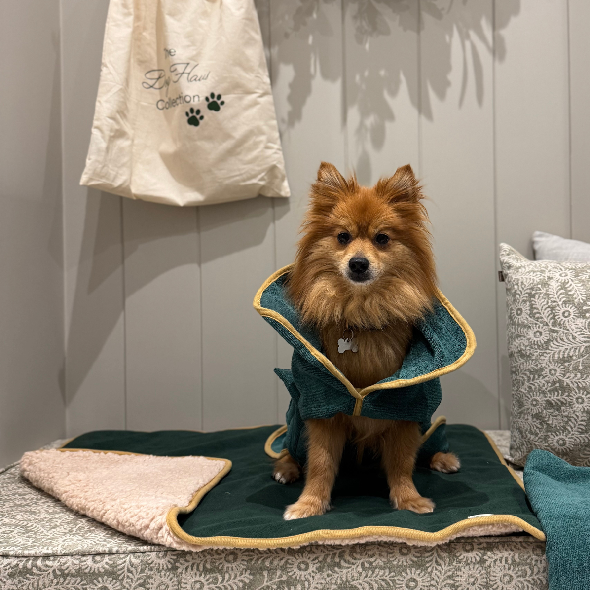 Forest Green Dog Mat - Sherpa Back