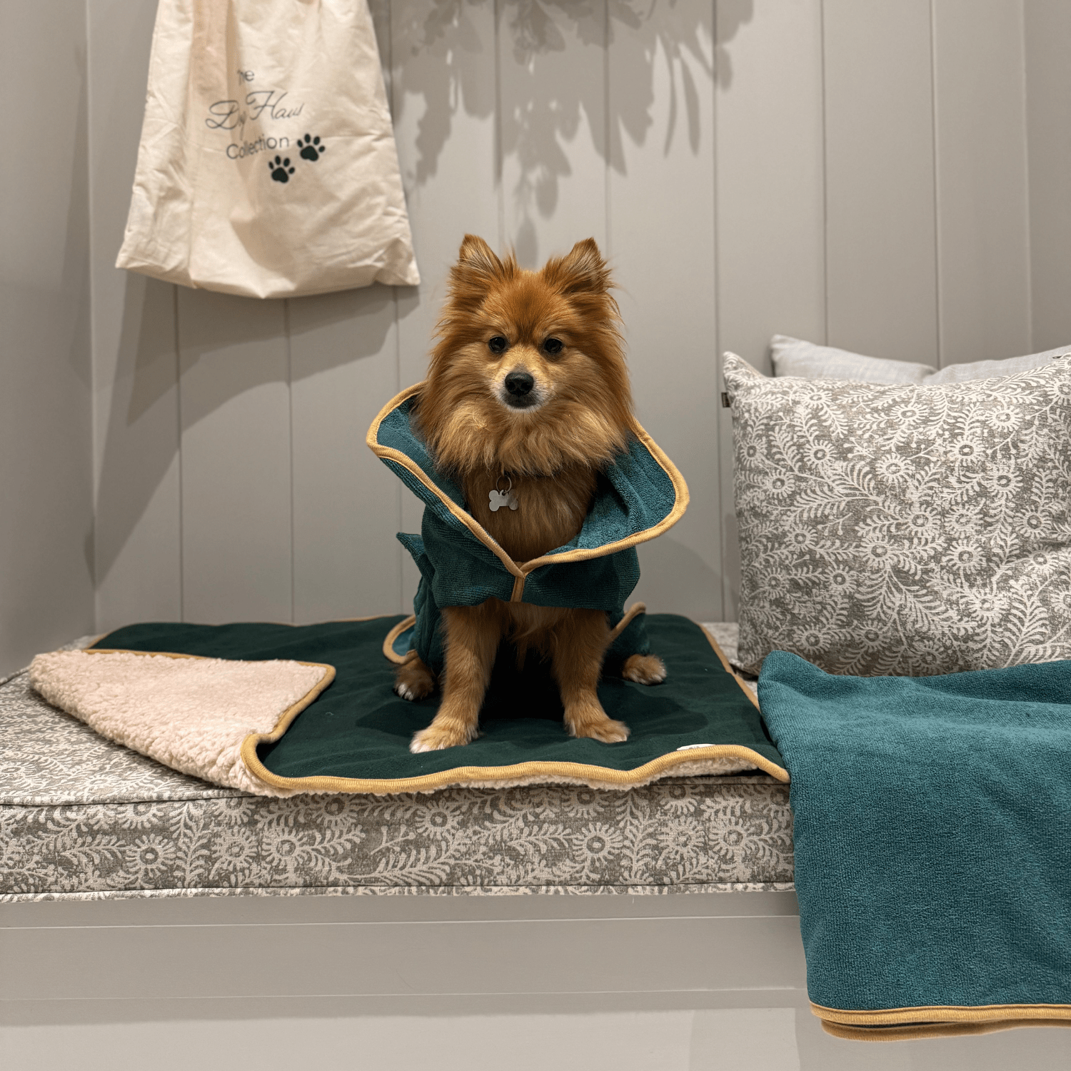 Forest Green Dog Bundle